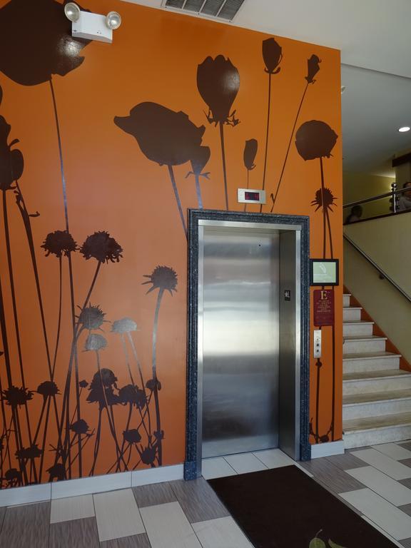 ניו יורק Sleep Inn Brooklyn מראה חיצוני תמונה